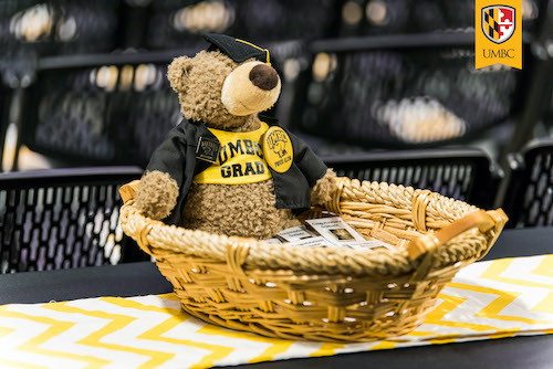 Small plush bear sitting in a basket, wearing gold UMBC Grad shirt, Proud Alum button, and commencement hat and robe.