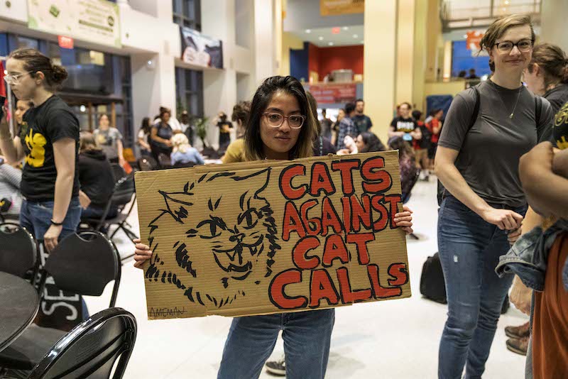 A student stands in Commons Main Street holding a sign with an angry cat that says “Cats Against Cat Calls”